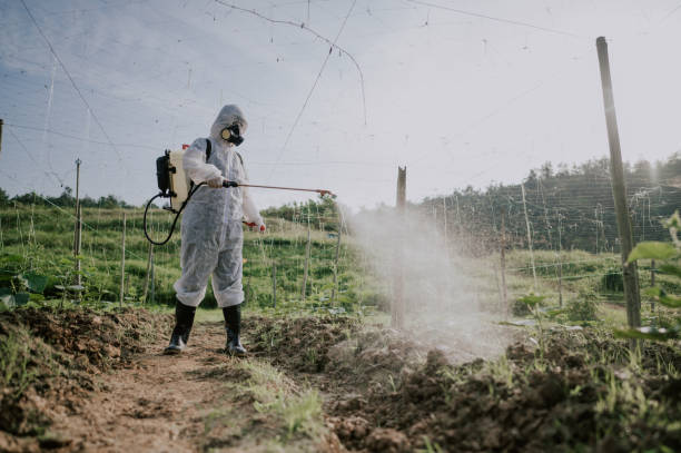 Best Best Pest Control Companies  in Seabrook Farms, NJ