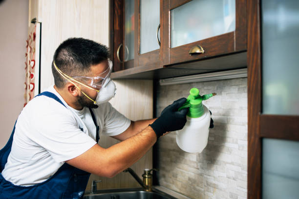 Best Residential Pest Control  in Seabrook Farms, NJ