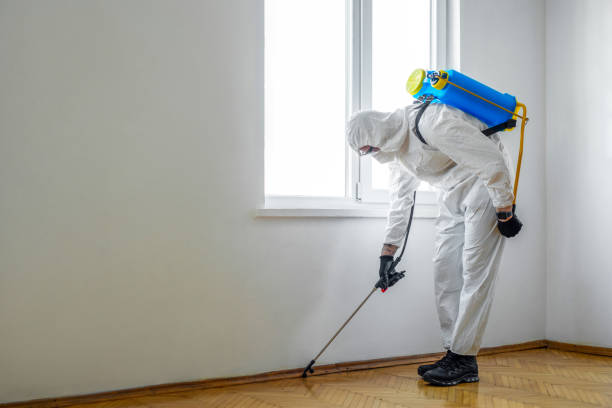 Best Best Pest Control Companies  in Seabrook Farms, NJ