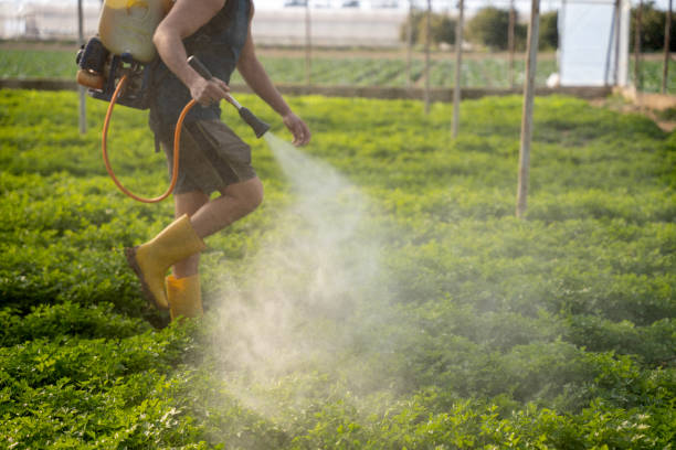 Best Insect Control  in Seabrook Farms, NJ