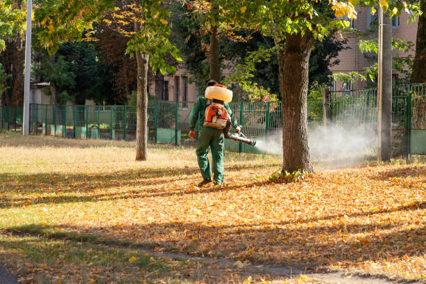 Best Pest Control for Homes  in Seabrook Farms, NJ