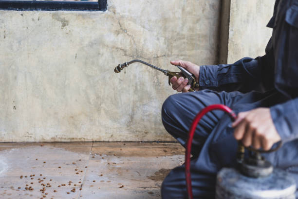 Best Wasp Removal Services  in Seabrook Farms, NJ